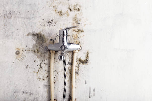 Best Residential Mold Removal  in Coleman, TX