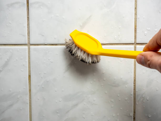 Best Water Damage Restoration  in Coleman, TX