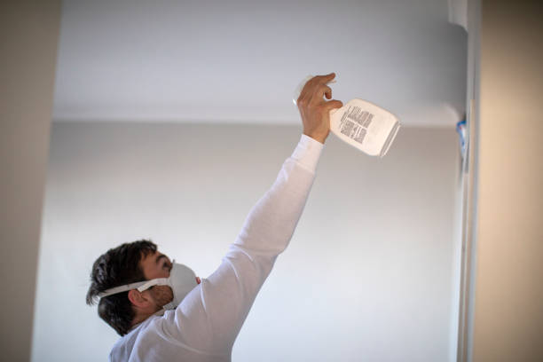 Certified Mold Removal in Coleman, TX